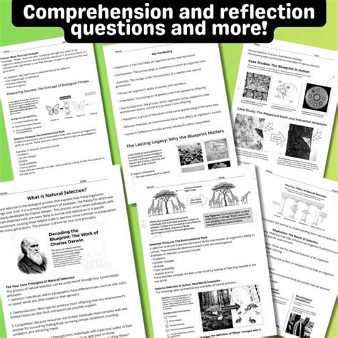unit 4 collection 8 selection test