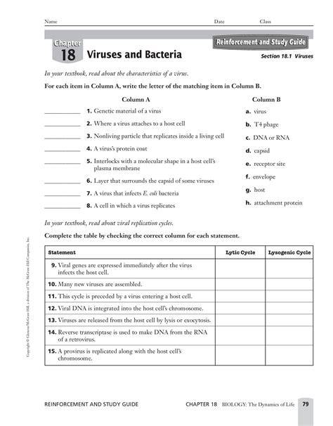 unit 6 viruses bacteria protists and fungi