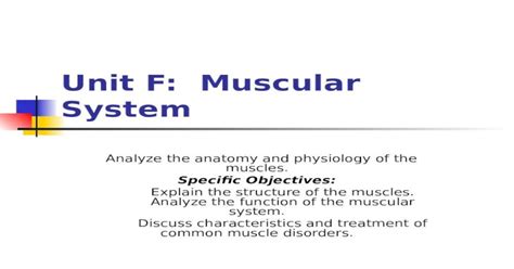 unit f muscular system mitchell high school