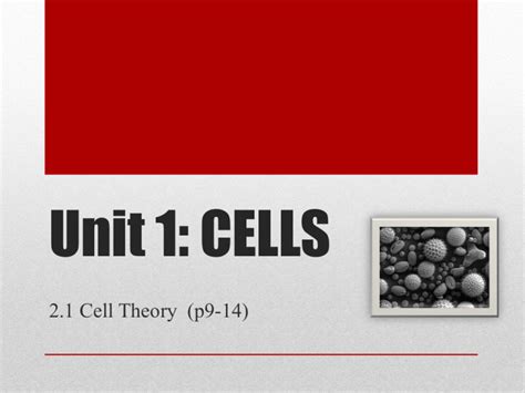Read Unit 1 Cells Chemstuff 