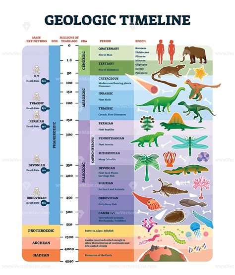 Units Of Geologic Time 8th Grade Science 8th Grade Geologic Time Scale - 8th Grade Geologic Time Scale
