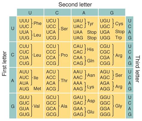 Universal Genetic Code Chart
