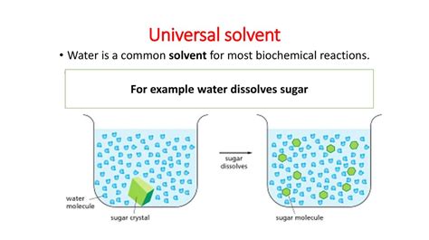 Universal Solvent Definition