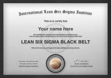 Download University Of Michigan Lean Six Sigma Black Belt 10 Day 