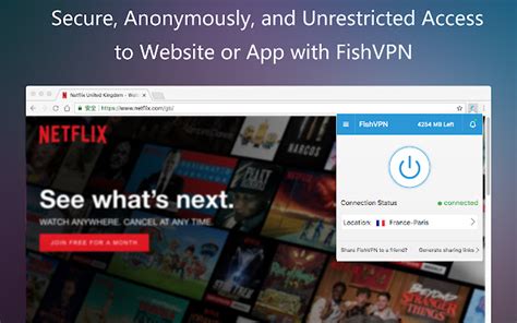unlimited free vpn   unblock sites fishvpn