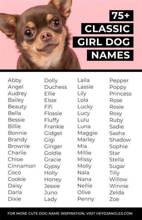 unpopular girl dog names