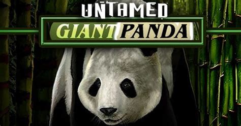Untamed Giant Panda Slot - Panda 888 Slot