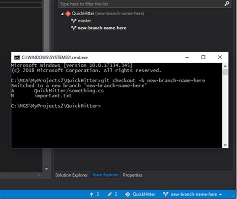 Image related to untracked-visual-studio-code