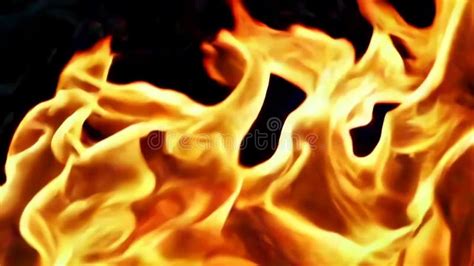 Up In Flames