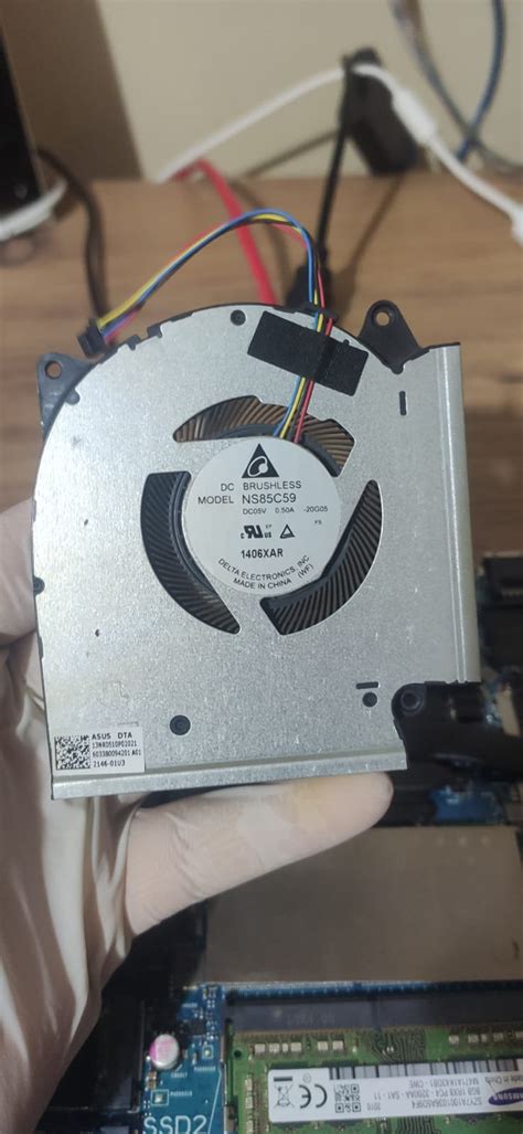 codini.rgarabwor.edu.pl. 