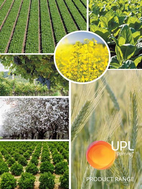Upl Product List