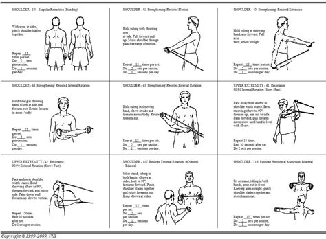 Upper Extremity Theraband Exercises