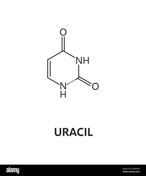 Uracil