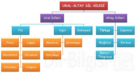 Ural Altay Dil Ailesi