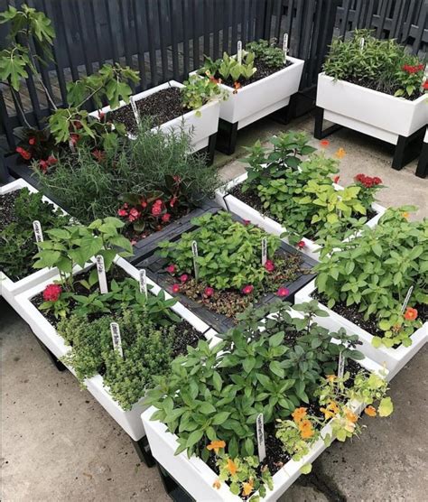 Urban Gardening Ideas Containers