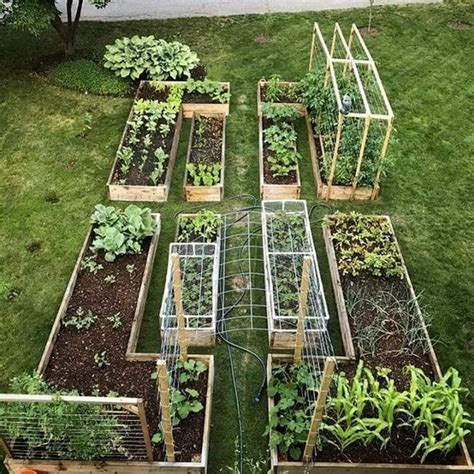 Urban Vegetable Gardening