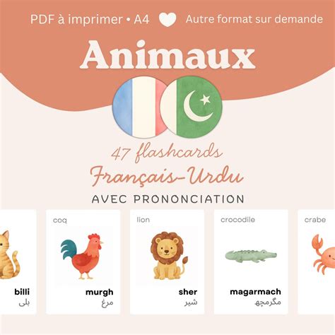 Urdu To French