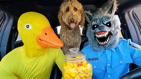 Urgfducky