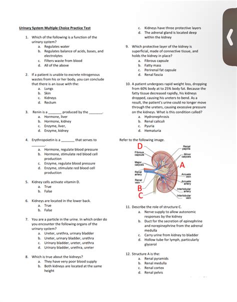 Urinary System Multiple Choice Elsevier