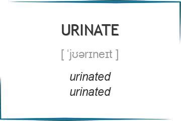 urinate English