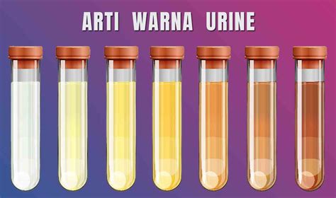 urine adalah