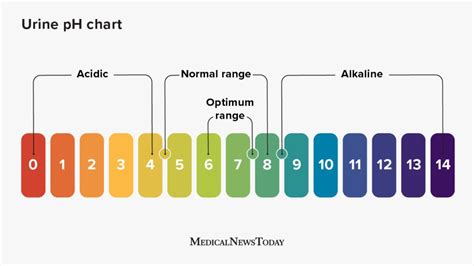 Urine Ph 8