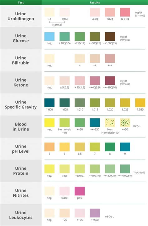 urine test results bacteria - MedHelp