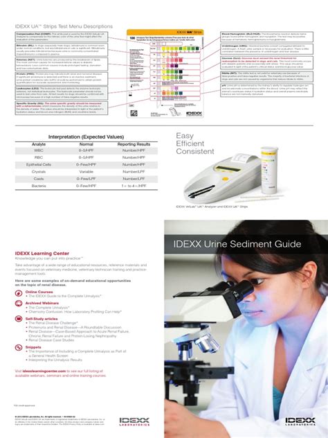 Full Download Urine Sediment Guide Idexx 