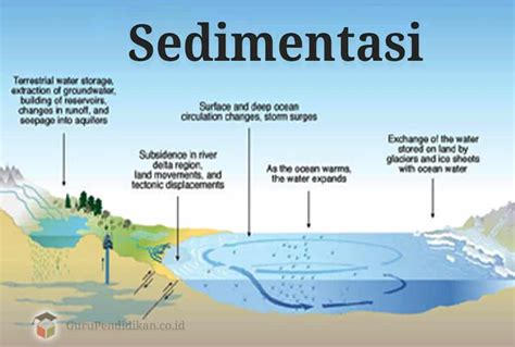 urutan proses sedimentasi yang benar adalah