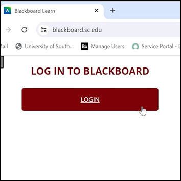 Usc Blackboard Login