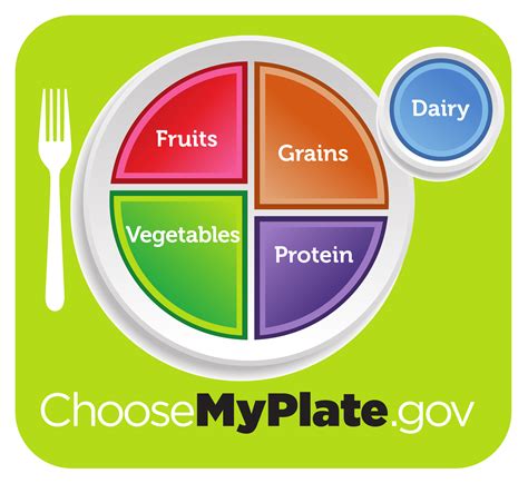 Usda Myplate Nutrition Information For Kids My Plate Printable Worksheet - My Plate Printable Worksheet