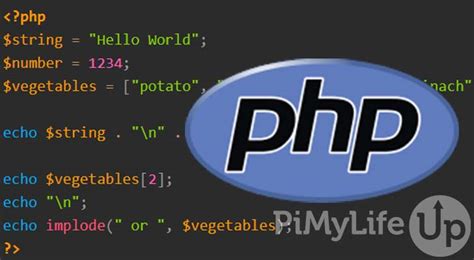 use of echo in php