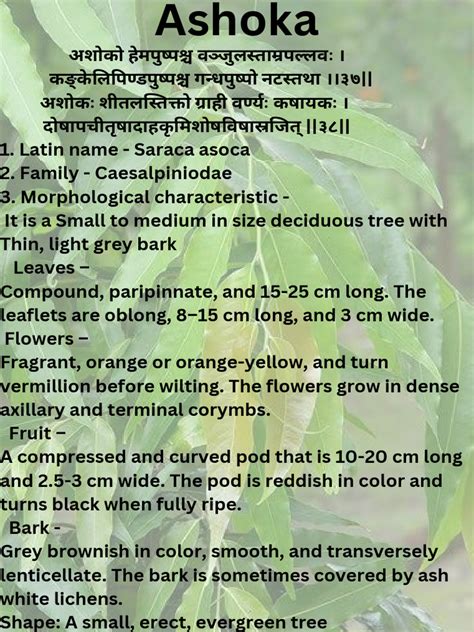 Uses Of Ashoka