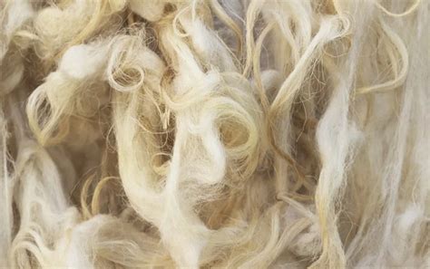 Uses Of Wool Fibre