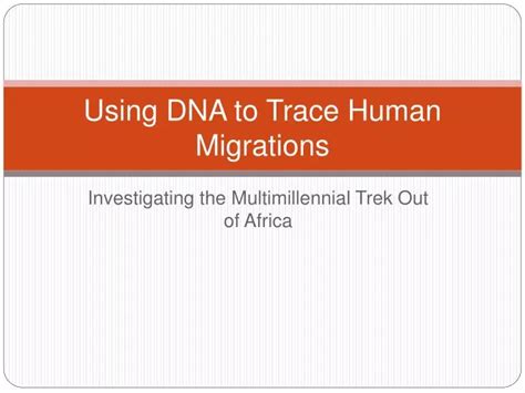 Using Dna To Trace Human Migration Hhmi Biointeractive Traces Of Tracks Worksheet Answers - Traces Of Tracks Worksheet Answers