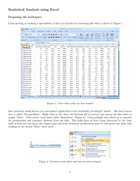using excel for statistical analysis stanford university