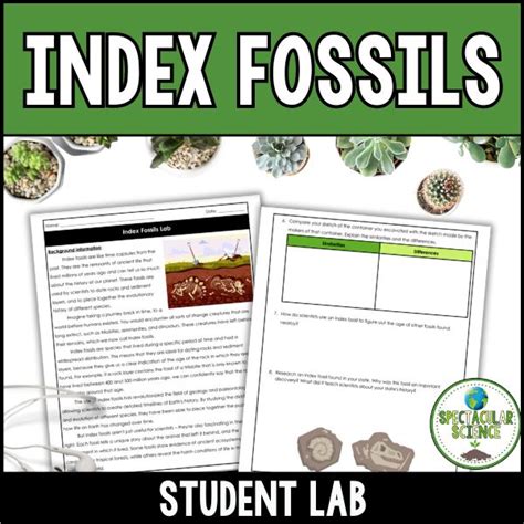 Using Index Fossils Lab