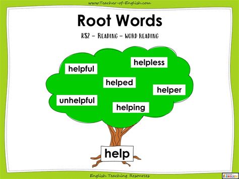 Using Roots Words To Determine The Meaning Of Word Roots Worksheet - Word Roots Worksheet