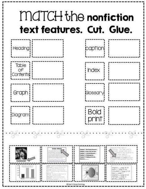 Using Text Features Worksheet   Using Text Features Worksheets - Using Text Features Worksheet