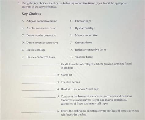 Using The Key Choices Identify Each Type Of Cartilage Described