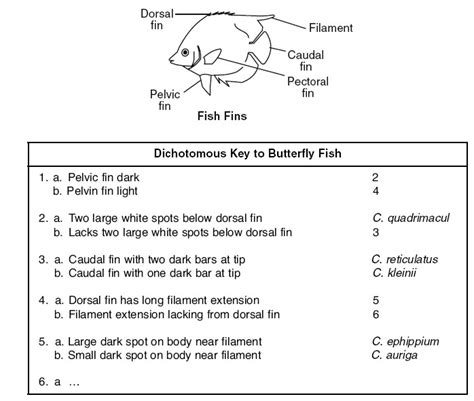 Download Using A Dichotomous Key Freshwater Fish Answers 