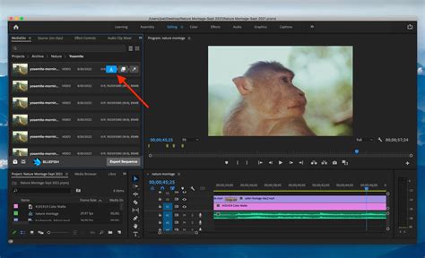 Read Using Adobe Premiere Pro With Editshare Pdf 