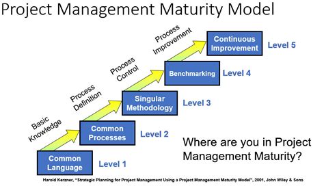 Download Using The Project Management Maturity Model Strategic Planning For Project Management 