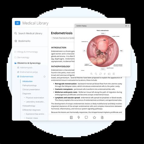 Usmle World
