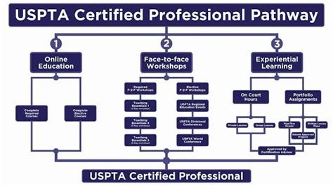 Download Uspta Certification Exam Study Guide 