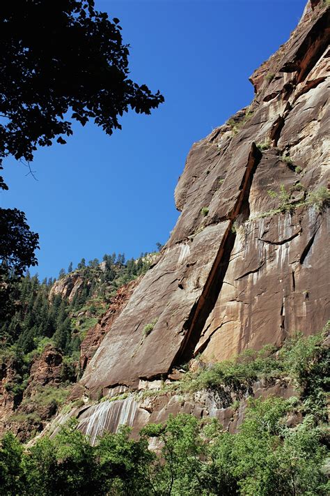 nature photo by Opal Kuhic