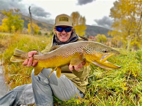 utah fishing