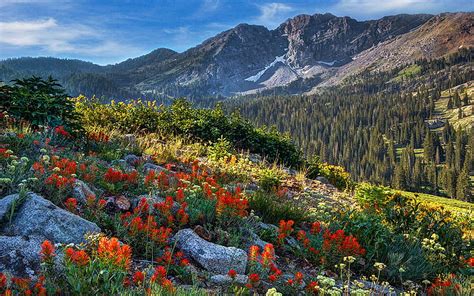 utah landscape