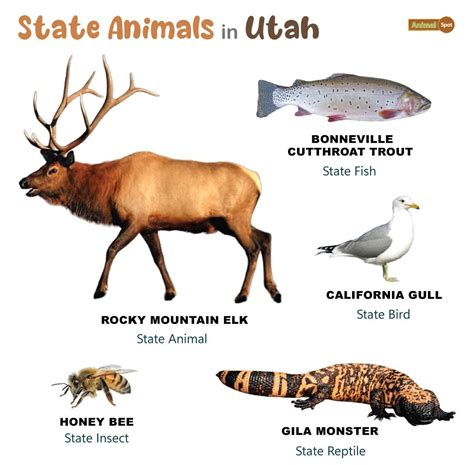 utah state animals