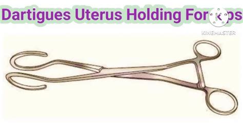 Uterus Holding Forceps